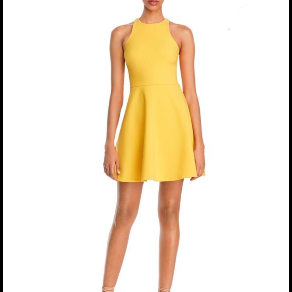 Likely Moore Dress, Size 4, NWT